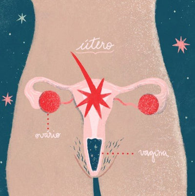 organismo e anatomia feminina: você sabe por onde sai a menstruação?