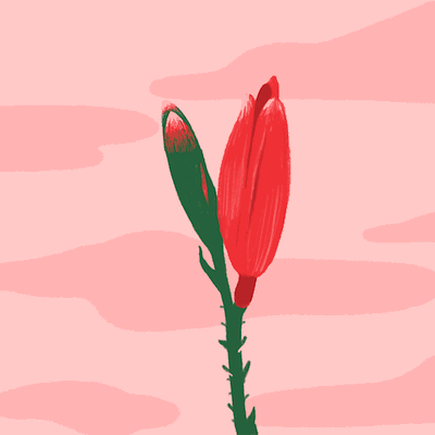 o sangue da menstruação é sujo? Mito! Tire suas dúvidas